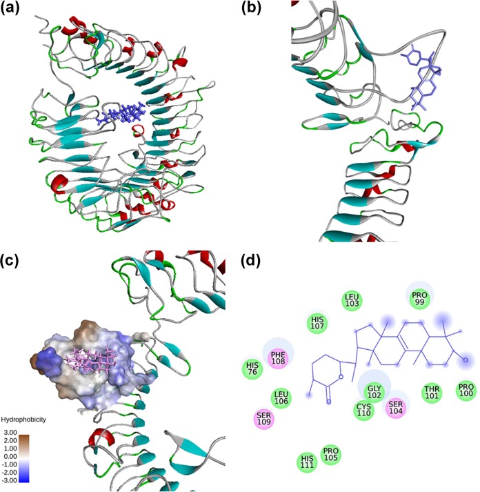 FIG 6