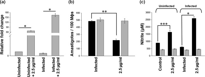 FIG 1