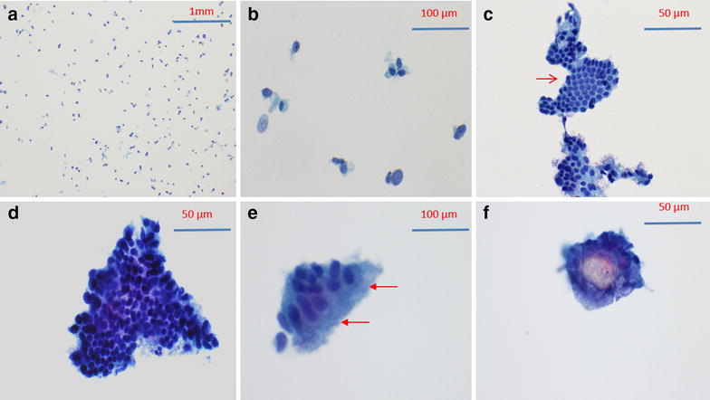 Fig. 1