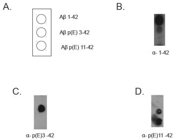 Fig.4