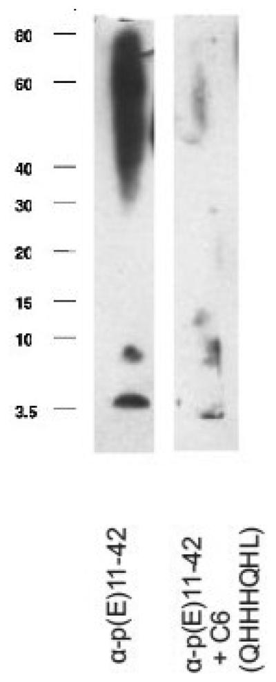 Fig.8