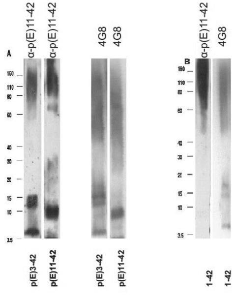 Fig.3