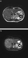 <b>FIG. 2.</b>