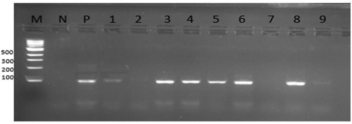 Figure 2: