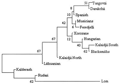 Figure  3