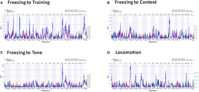 Figure 6