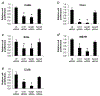 Figure 5 –