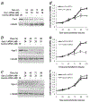 Figure 4 –