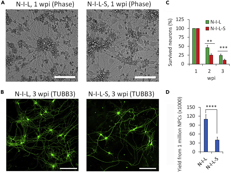 Figure 6