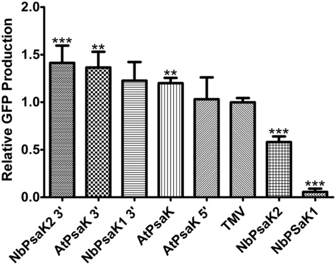 FIGURE 4