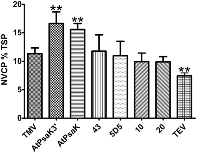 FIGURE 5