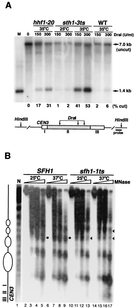 FIG. 6.