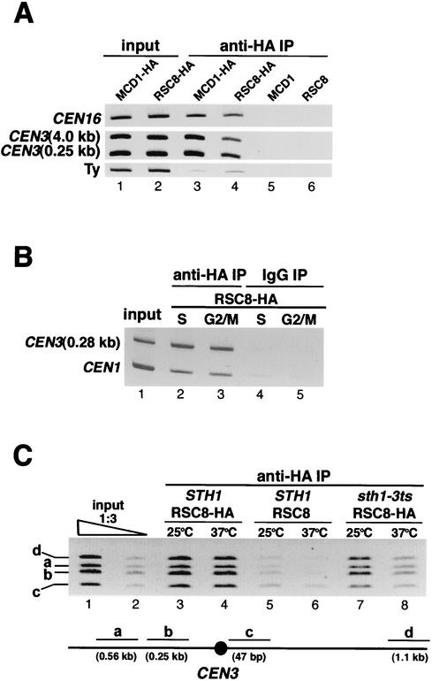 FIG. 5.