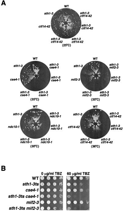 FIG. 2.