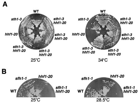 FIG. 3.