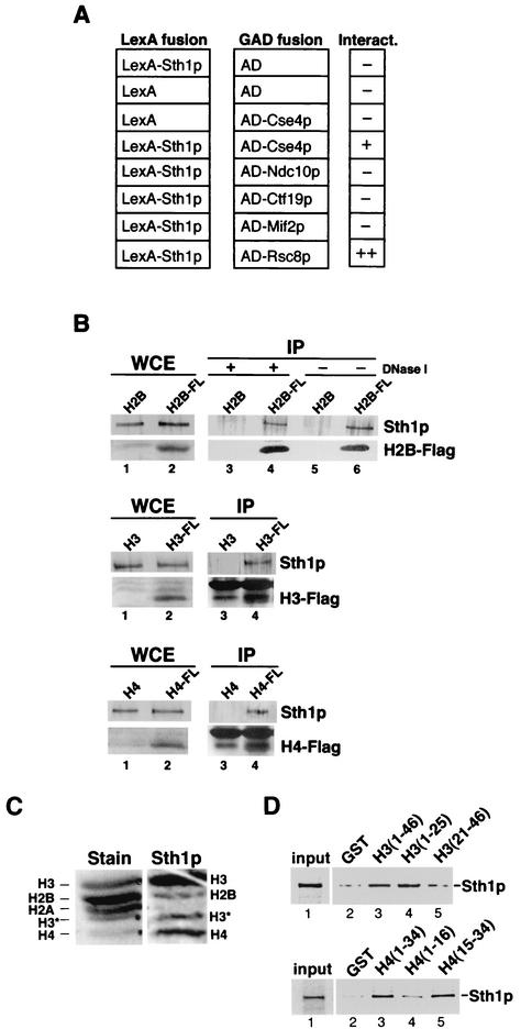 FIG. 4.