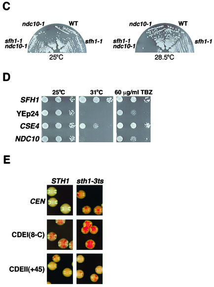 FIG. 2.