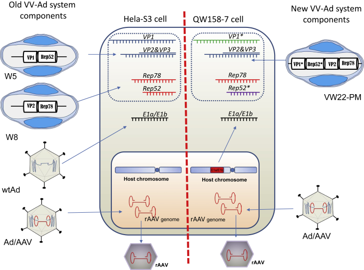 Figure 4