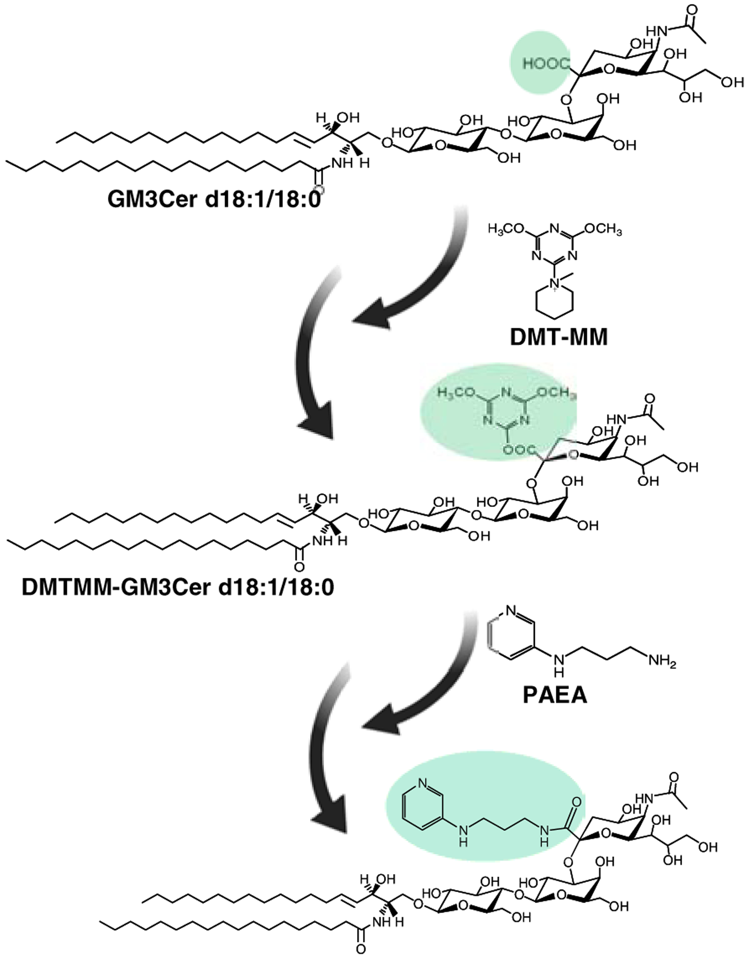 Figure 12.