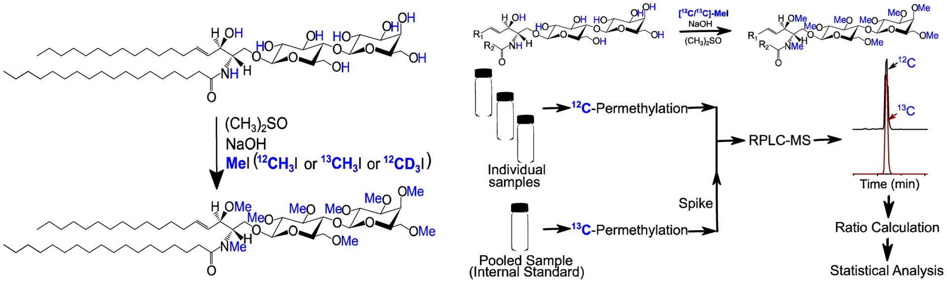 Figure 11.