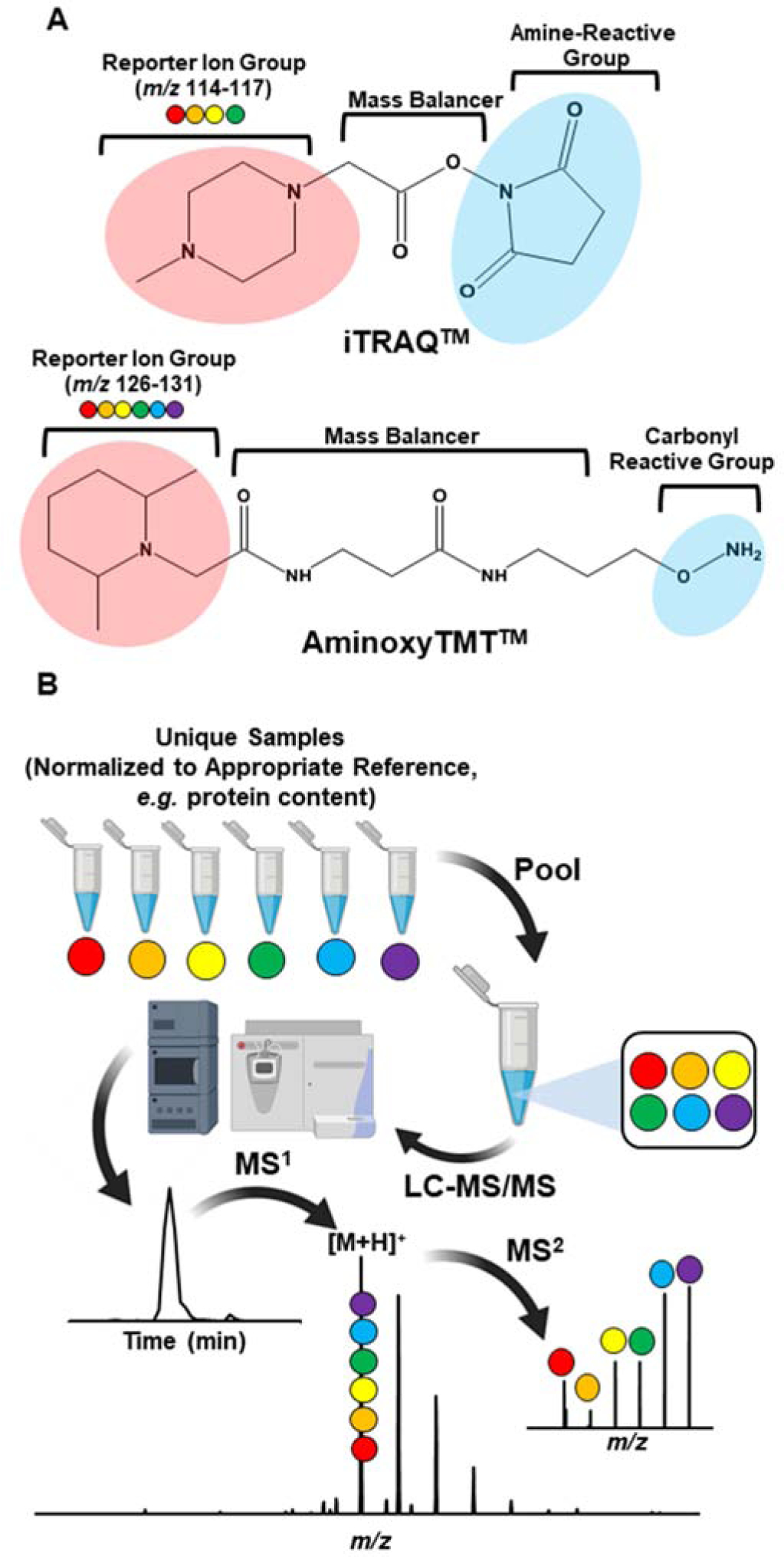 Figure 13.