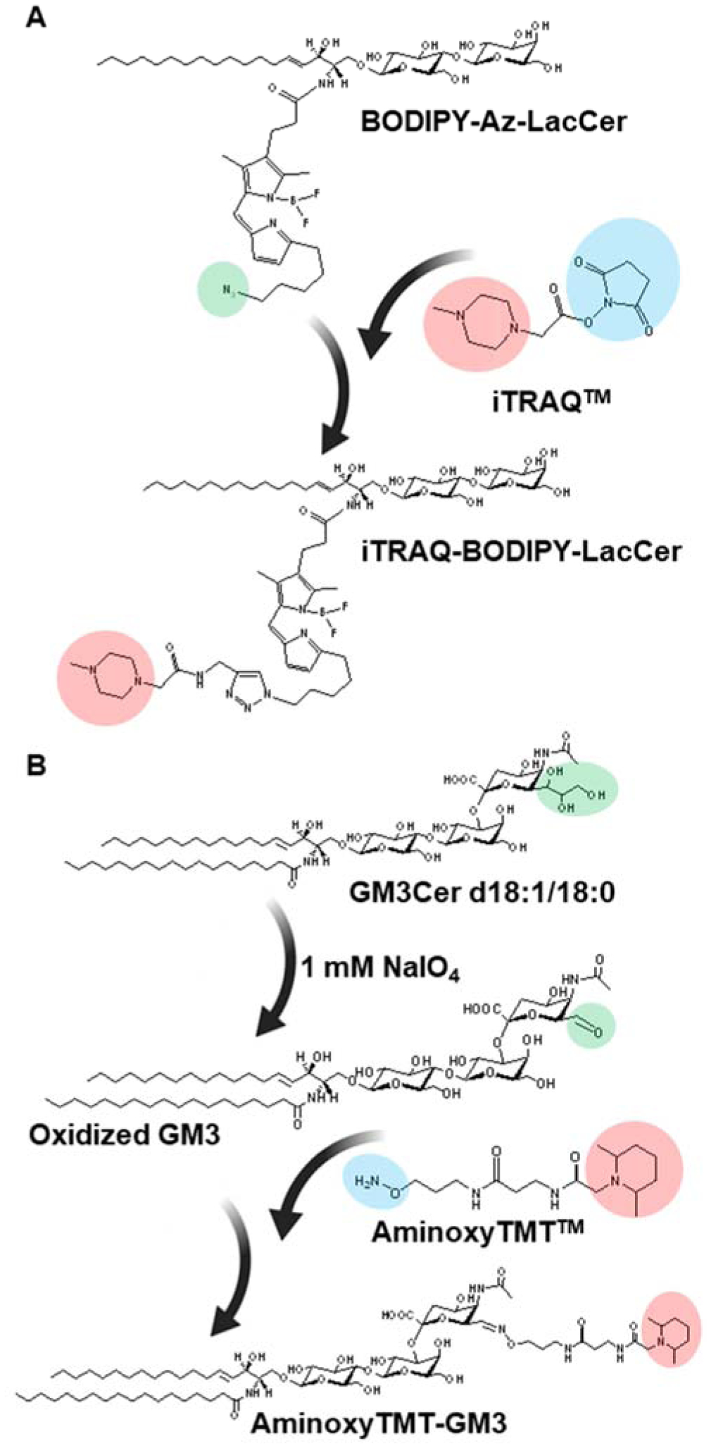 Figure 14.