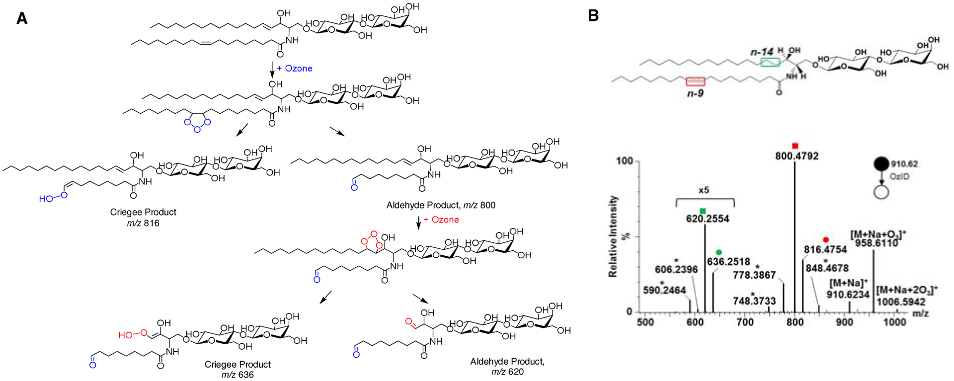 Figure 9.