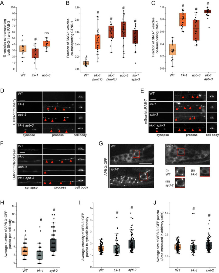 Figure 2: