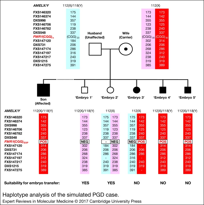 Figure 4.