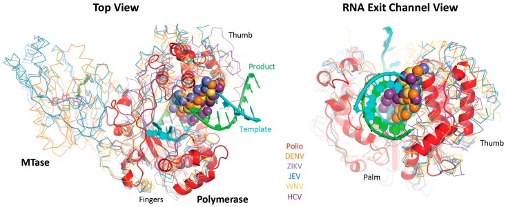 Figure 10