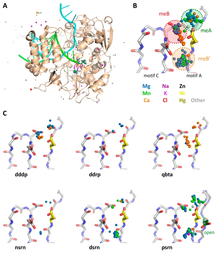 Figure 12