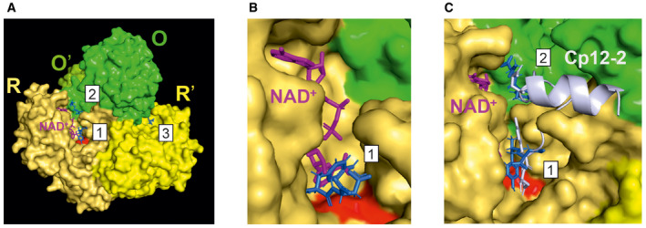 Figure 4