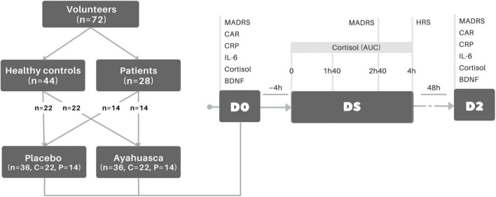 FIGURE 1