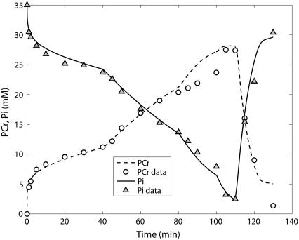 FIGURE 15