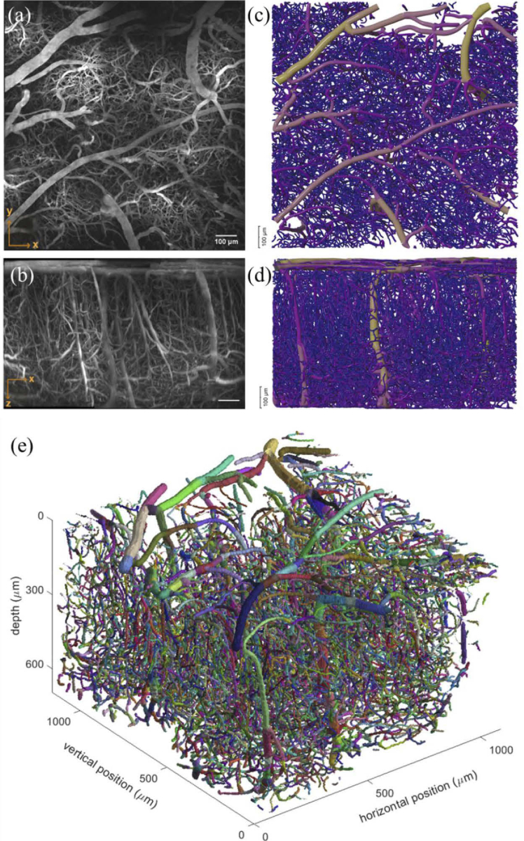 Fig. 6.