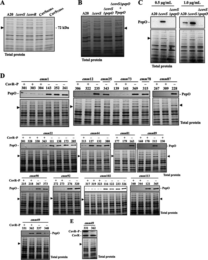 FIG 3