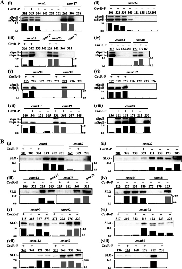 FIG 2