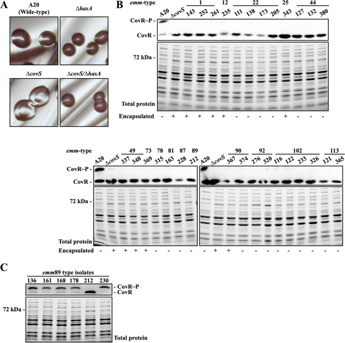 FIG 1