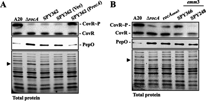 FIG 4