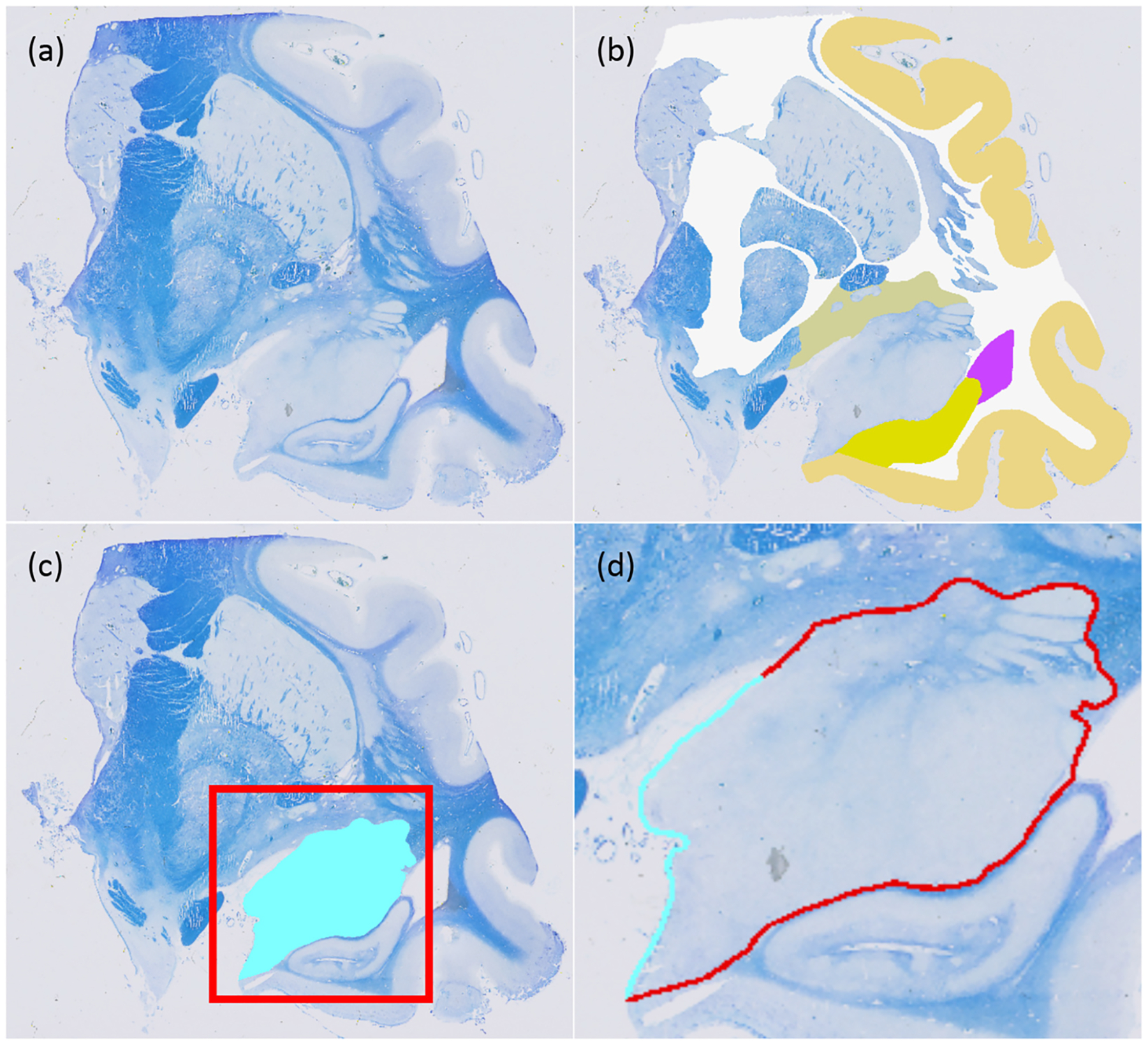 Fig. 2.