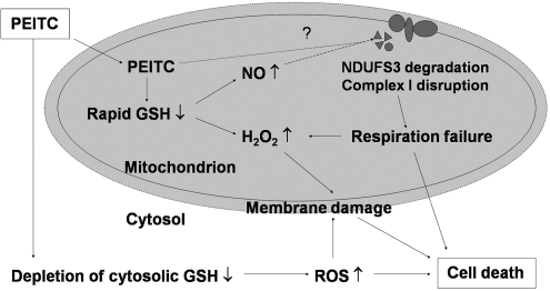 FIG. 9.