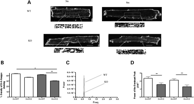 Figure 3.