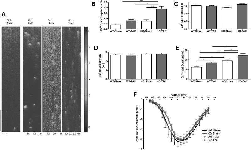 Figure 6.