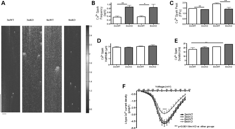 Figure 2.