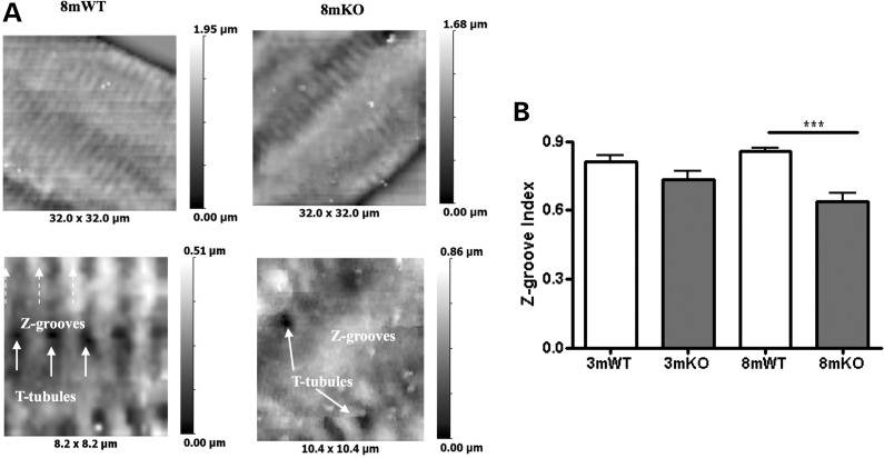 Figure 4.