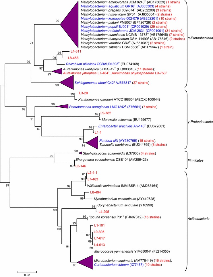 Fig. 1