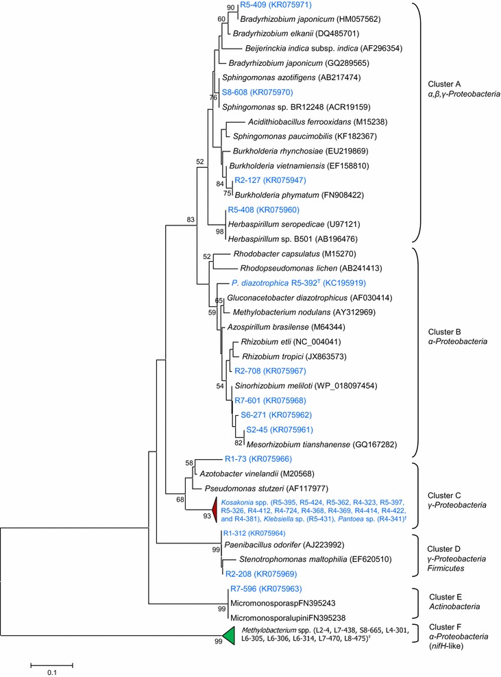 Fig. 2