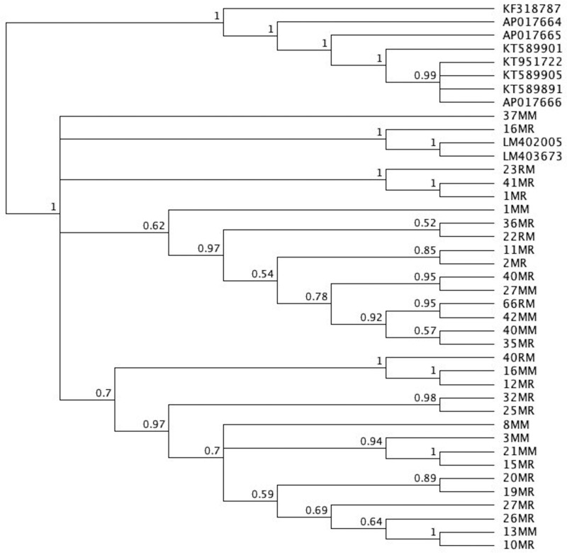 Figure 2