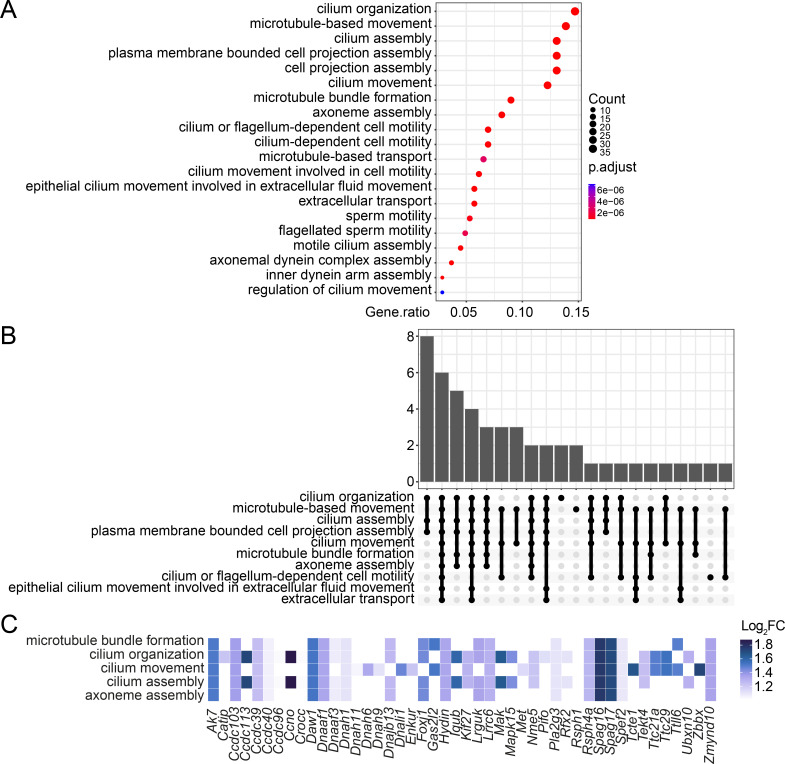 Figure 4—figure supplement 6.