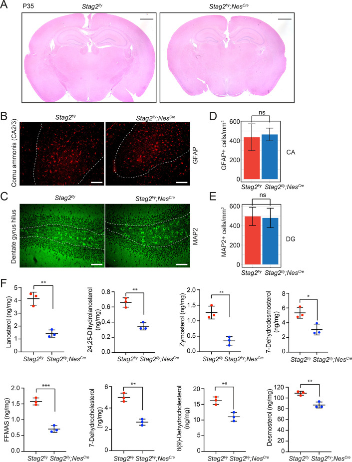 Figure 2—figure supplement 1.